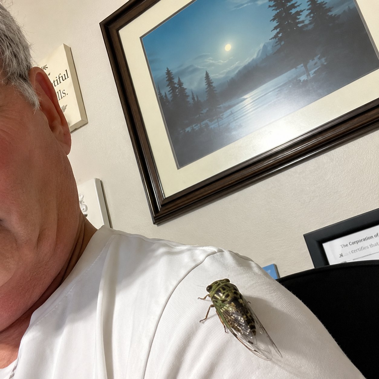 A cicada resting on Randy's shoulder