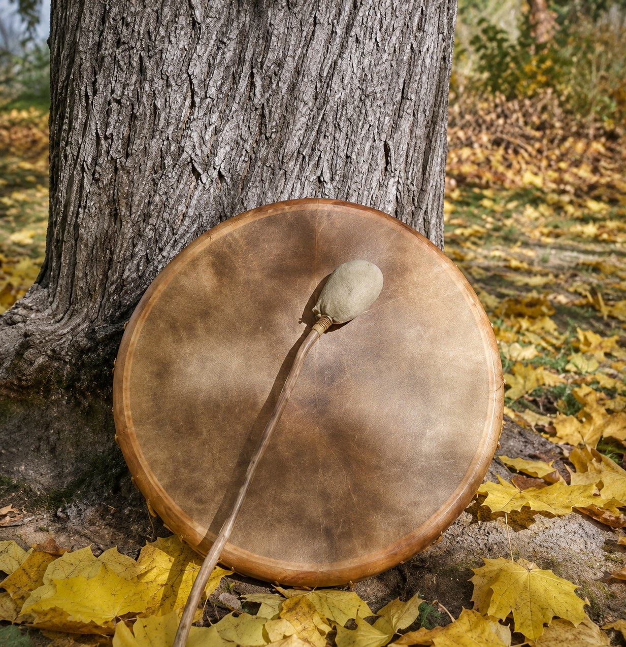 The drum resting against an old tree, the place of the North