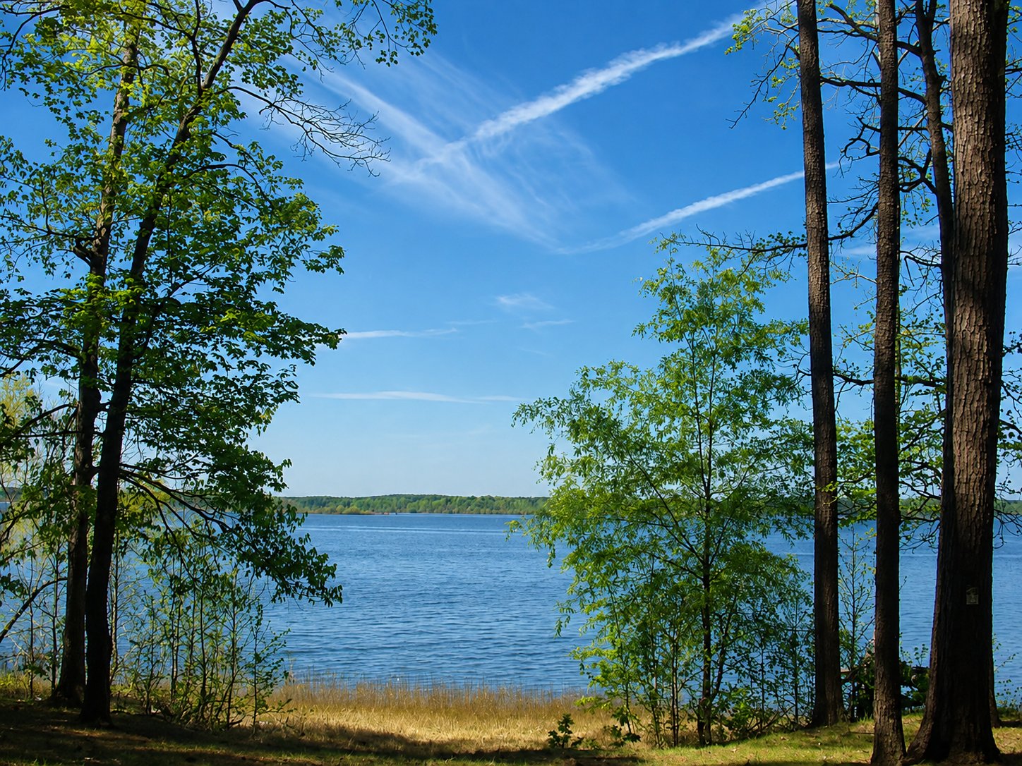 Lake water seen through the trees at San Augustine Park